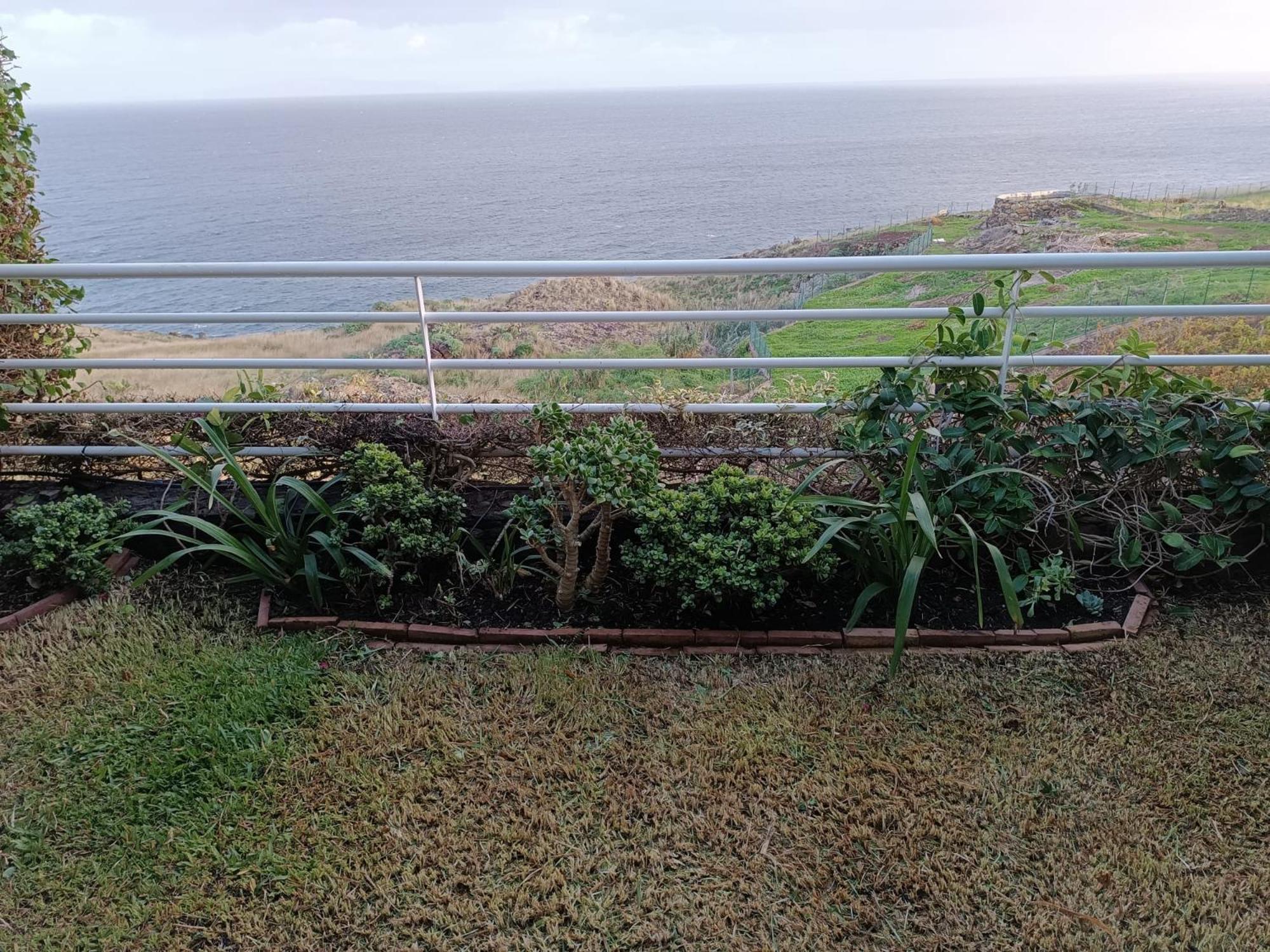 Moradia T2 Madeira Villa Funchal  Ngoại thất bức ảnh